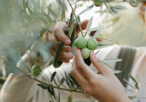 Entendendo a acidez dos azeites